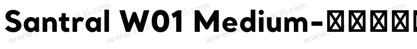 Santral W01 Medium字体转换
